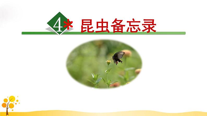 三下 4 昆虫备忘录 课件第3页