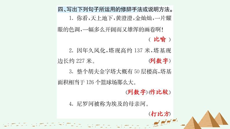 20 金字塔 课课练第4页