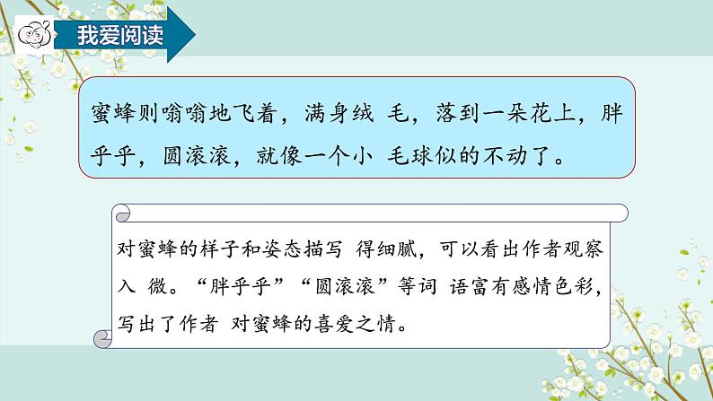【统编版】五下语文 2.祖父的园子第二课时  （课件+同步练习）08