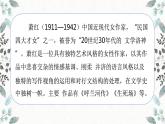 【统编版】五下语文 2.祖父的园子    第一课时  （课件+同步练习）
