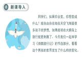 部编版 语文六年级下册——6.骑鹅旅行记（节选）（课件+教案）