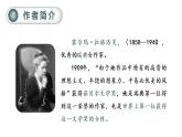 部编版 语文六年级下册——6.骑鹅旅行记（节选）（课件+教案）