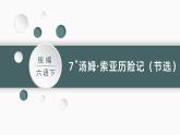 部编版 语文六年级下册——7.汤姆·索亚历险记（节选）（课件+教案）