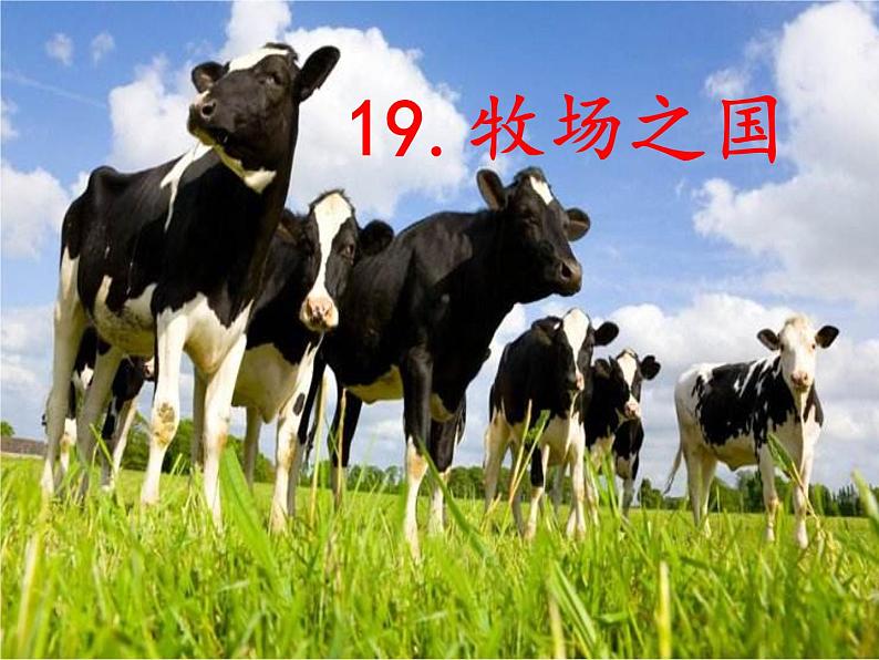 19《牧场之国》第1课时 教案 课件 视频素材07