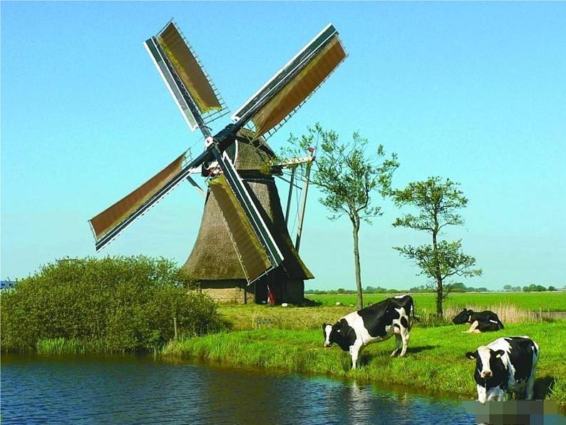 19《牧场之国》第1课时 教案 课件 视频素材08