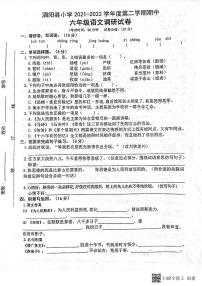 江苏省宿迁市泗阳县2021-2022学年六年级下学期期中调研语文试题