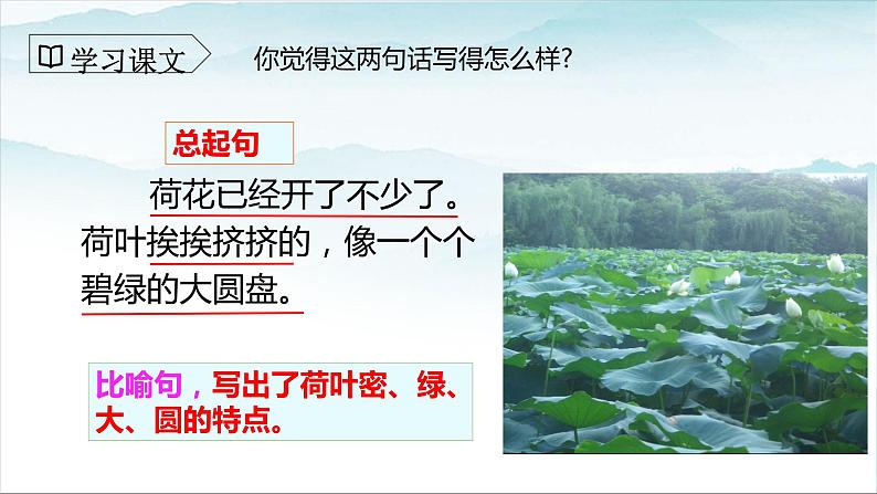 人教部编版三年级语文下册3《荷花》第二课时PPT课件+教学设计06