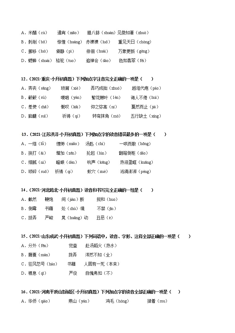 2020-2021年全国小升初语文真题汇编专题02字音（原卷+解析卷）03