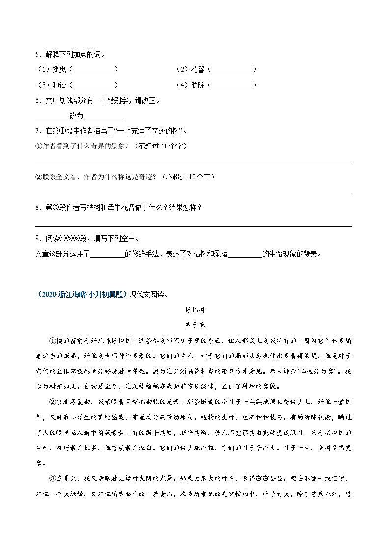 2020-2021年全国小升初语文真题汇编专题23记叙文阅读——状物文（原卷版）第3页