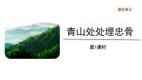 人教部编版五年级下册11 青山处处埋忠骨教学课件ppt