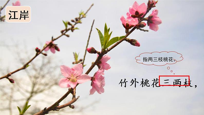 1 古诗三首   惠崇春江晚景第6页