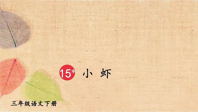 部编版语文三年级下册 15 小虾 课件02