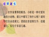 部编版语文三年级下册 15 小虾 课件