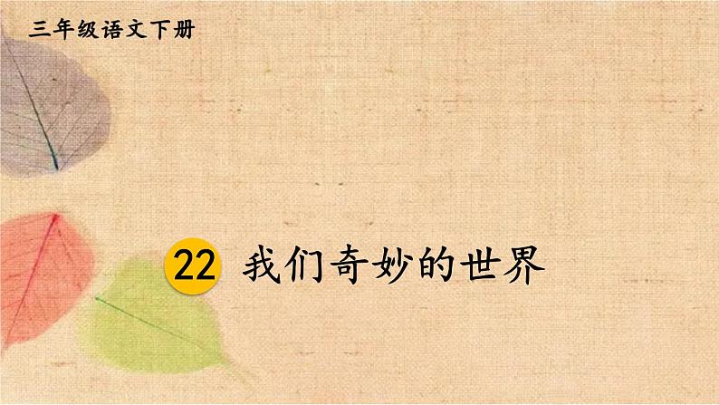 部编版语文三年级下册 22 我们奇妙的世界 课件第1页