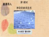 部编版语文四年级下册 7 纳米技术就在我们身边 课件
