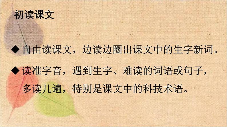 部编版语文四年级下册 7 纳米技术就在我们身边 课件第4页