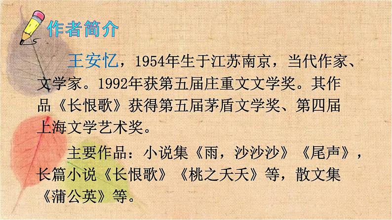 部编版语文四年级下册 20 我们家的男子汉 课件03