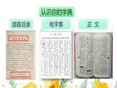 新部编版二年级语文上册查字典专项复习课件