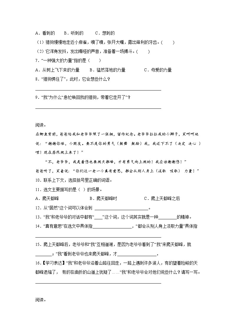 部编版语文四年级上册期末课内阅读检测卷（二）（试题）02