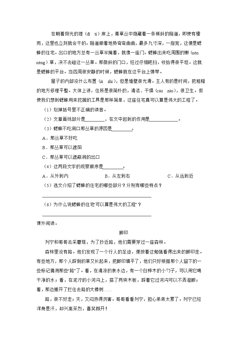 部编版语文四年级上册期末综合复习卷（二）03