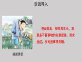 15自相矛盾示范课件第1课时