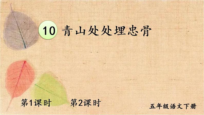 部编版语文五年级下册 10 青山处处埋忠骨 课件01