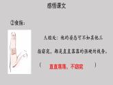 22手指示范课件第2课时