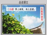 02乡下人家第2课时示范课件