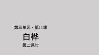 人教部编版四年级下册11 白桦示范课ppt课件