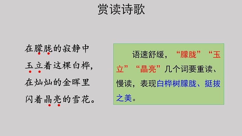 11白桦示范课件第二课时第7页