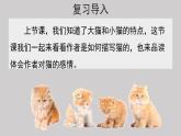 13猫示范课件第二课时