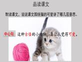 13猫示范课件第二课时