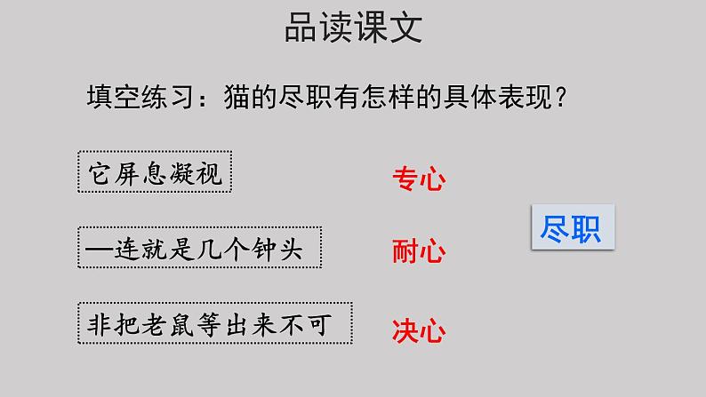 13猫示范课件第二课时07