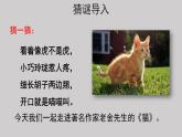 13猫示范课件第一课时