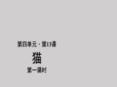 13猫参考课件第1课时