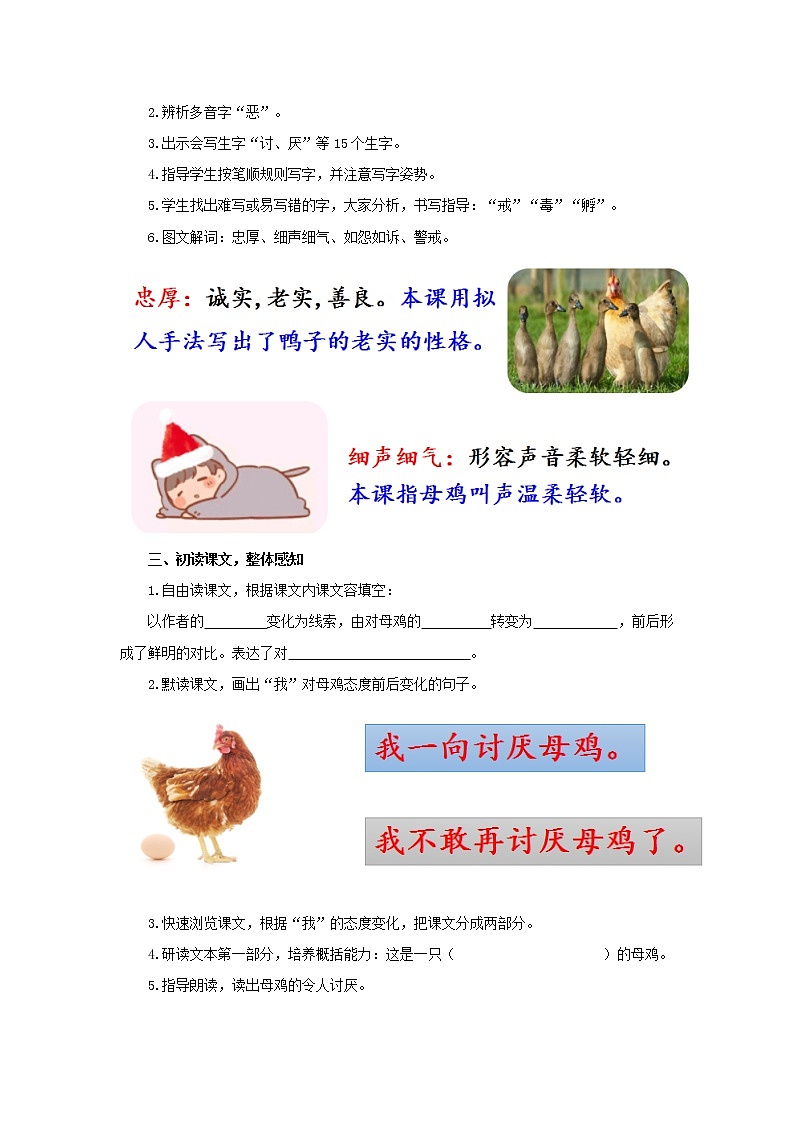 14母鸡示范教案02