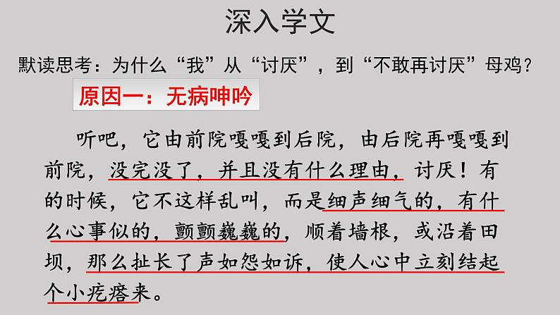 14母鸡示范课件第二课时第4页