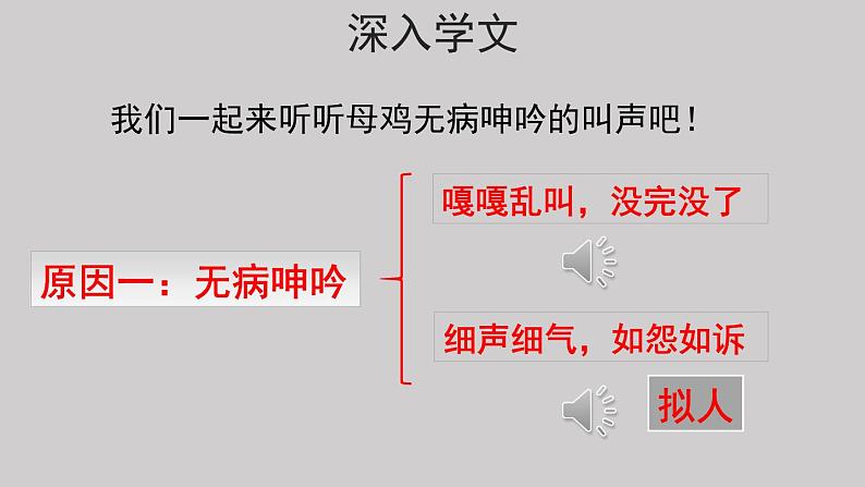 14母鸡示范课件第二课时第5页