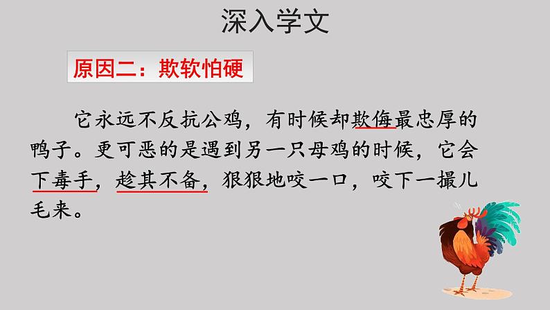 14母鸡示范课件第二课时第6页