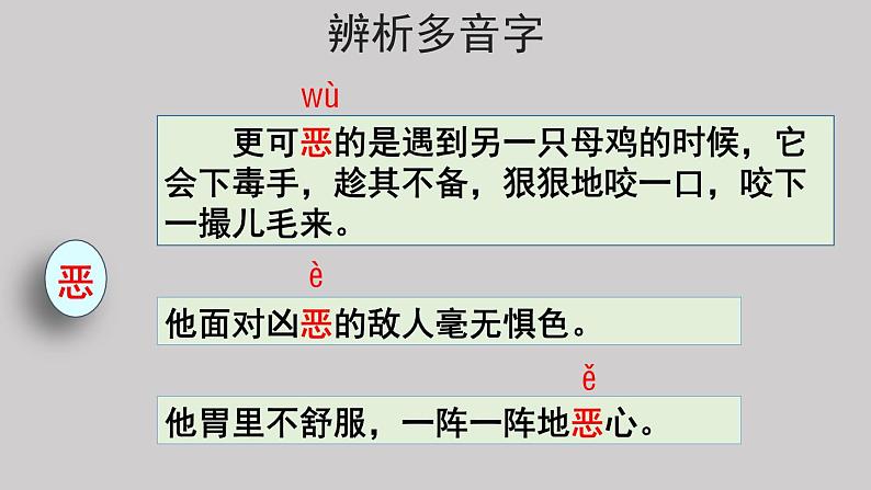 14母鸡示范课件第一课时05