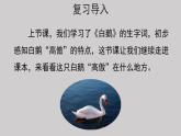 15白鹅示范课件第二课时