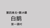 小学语文人教部编版四年级下册第四单元15 白鹅示范课ppt课件