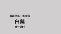 小学语文第四单元15 白鹅课前预习ppt课件