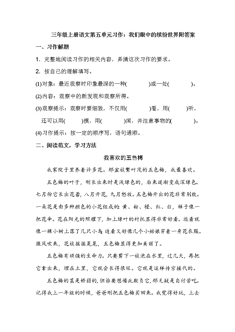 三年级上册语文第五单元习作：我们眼中的缤纷世界附答案 试卷01