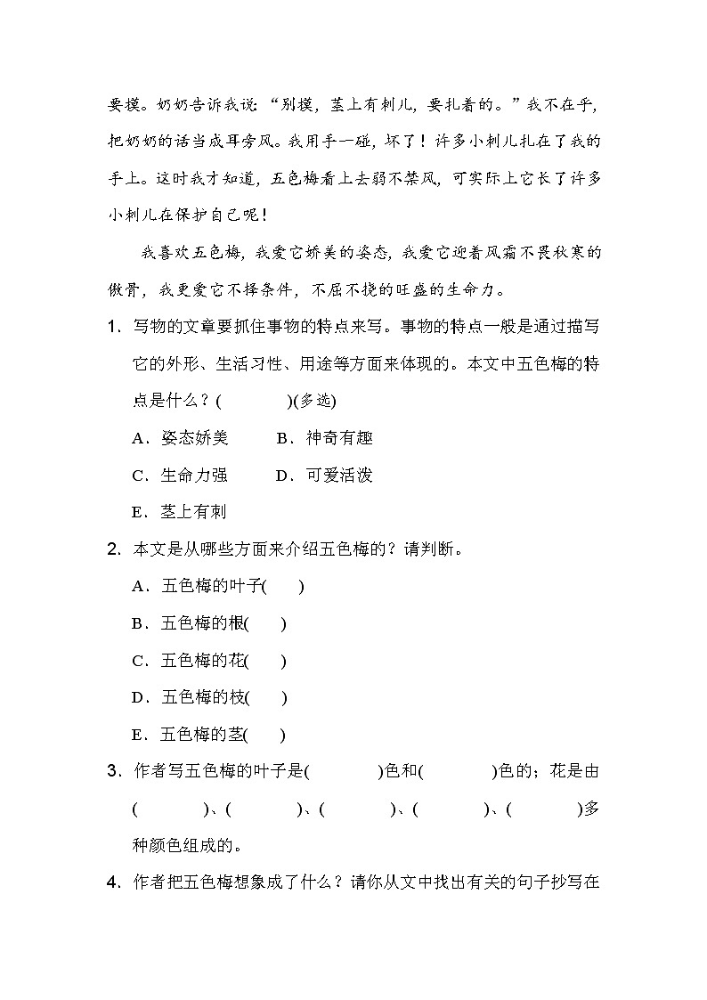 三年级上册语文第五单元习作：我们眼中的缤纷世界附答案 试卷02