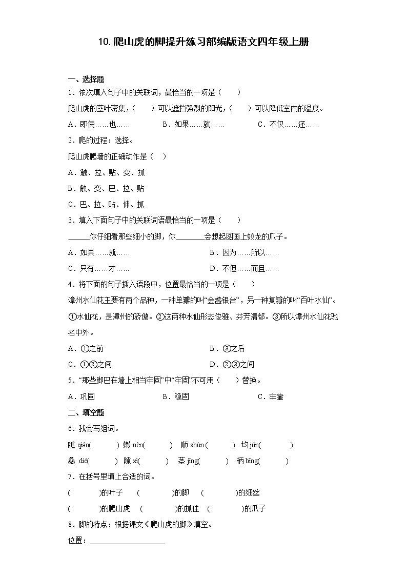 10.爬山虎的脚提升练习部编版语文四年级上册（原卷版）第1页