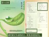 《 读不完的大书》三上（说课）课件PPT