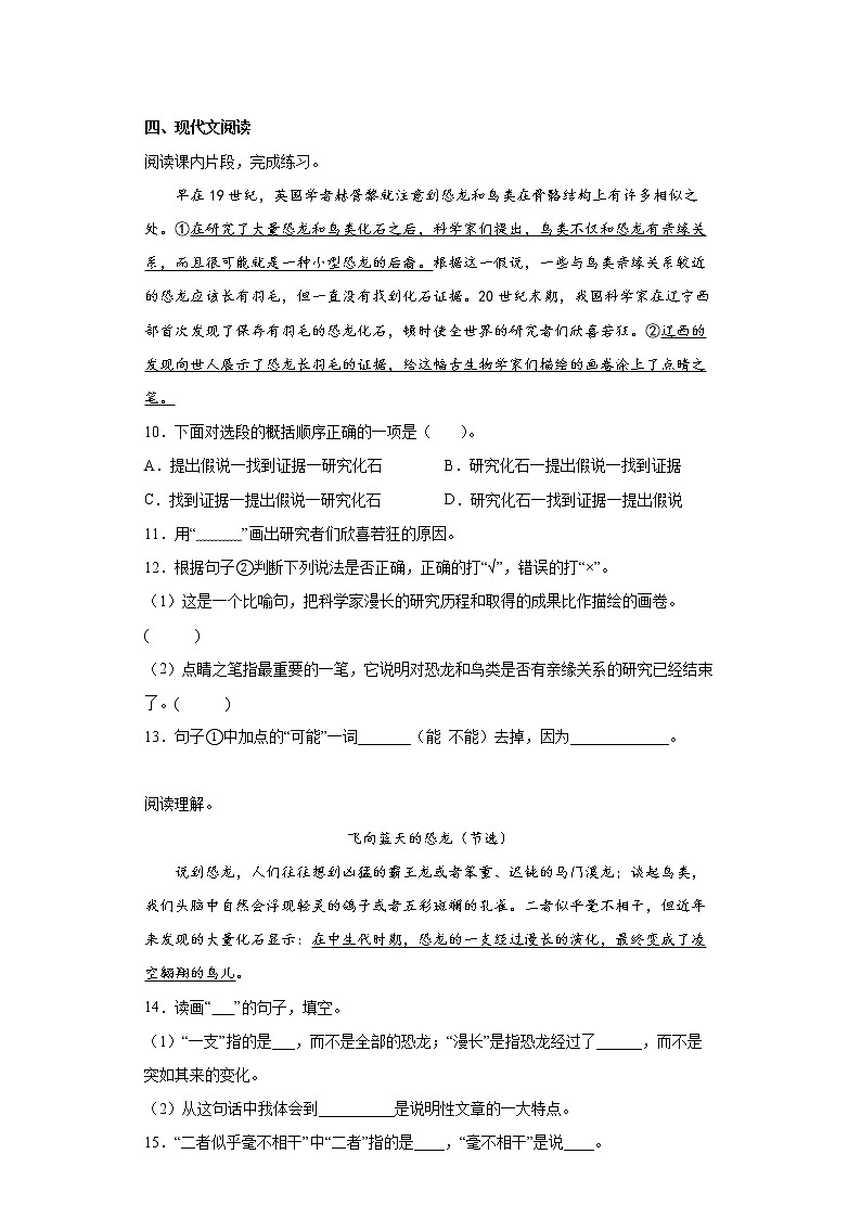 部编版四年级下册6飞向蓝天的恐龙第3页