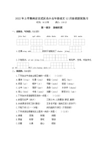 2022年上学期南京玄武区名小五年级语文12月自我提优练习（有答案）