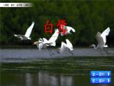 人教部编版语文五年级上册《白鹭》课件